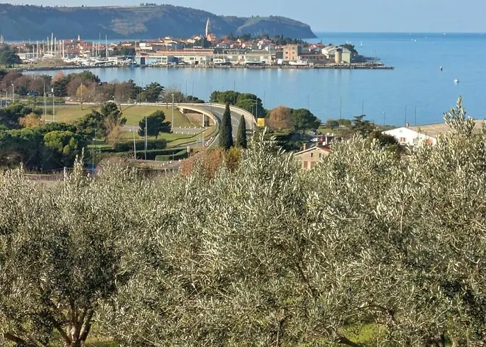 Apartmaji Diversorio Apartment Izola